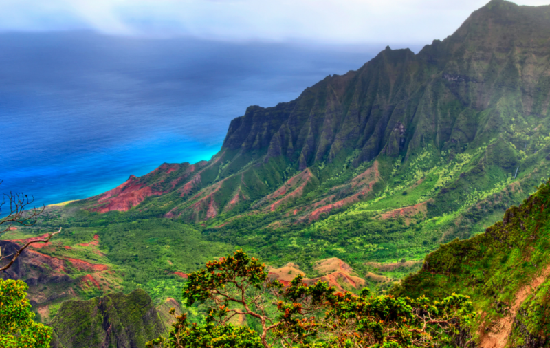 About Us Kauai Camper Vans Camper Van Rentals Enjoy Kauai in